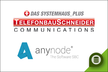 Webinar mit Telefonbau Schneider und anynode Logos