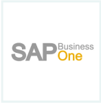 sap business one metadirectory integration icon
